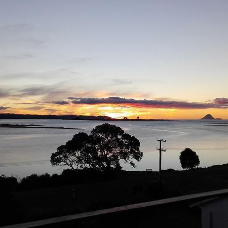 Ohiwa Harbour Studio Apartment Waiotahi Eksteriør bilde